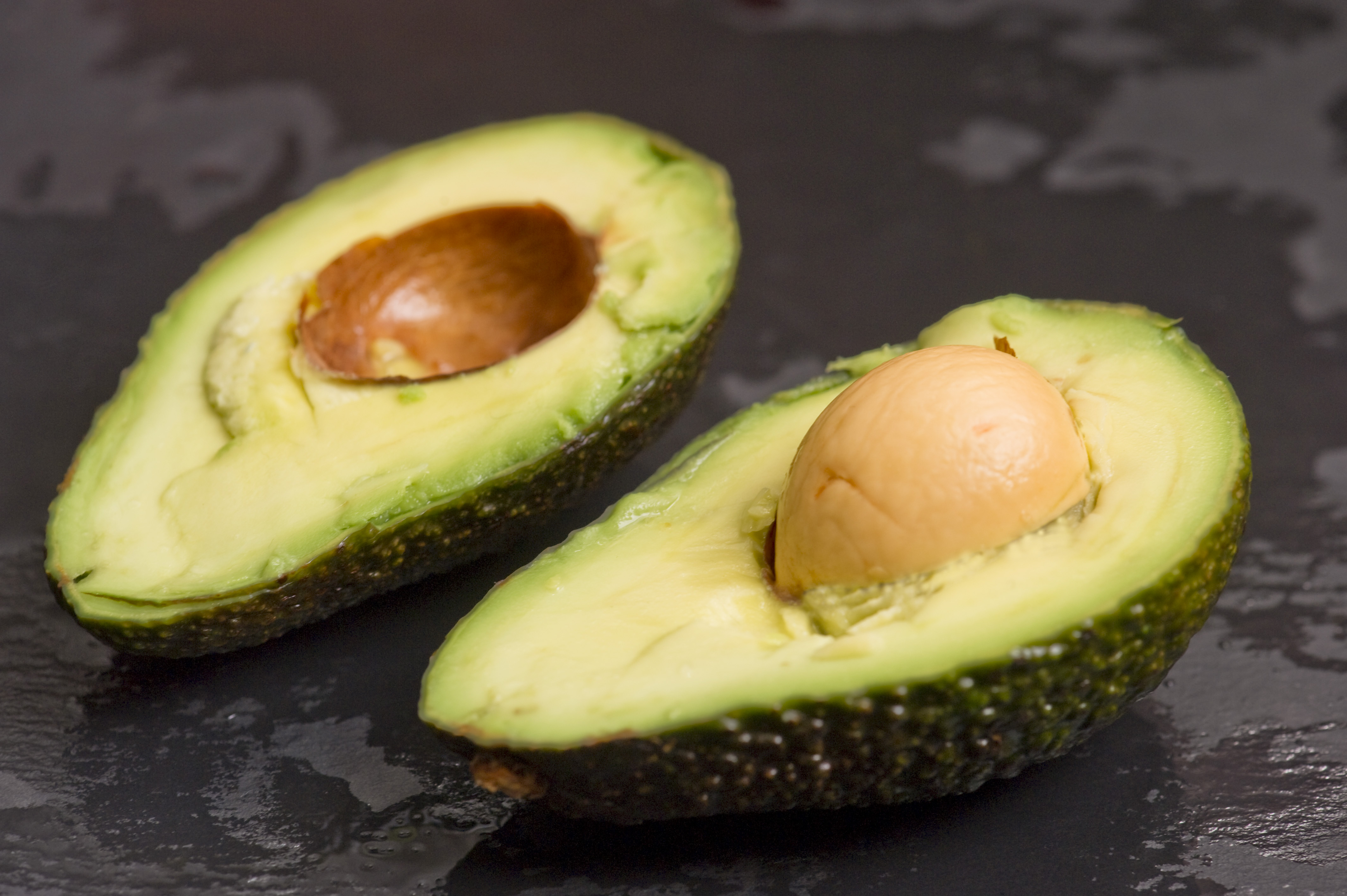 Avokado Avokado